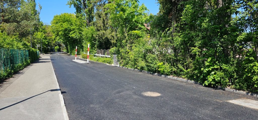 La route de Saint-Loup à Versoix, bordée de haies et d’arbres
